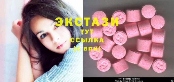 сатива Няндома