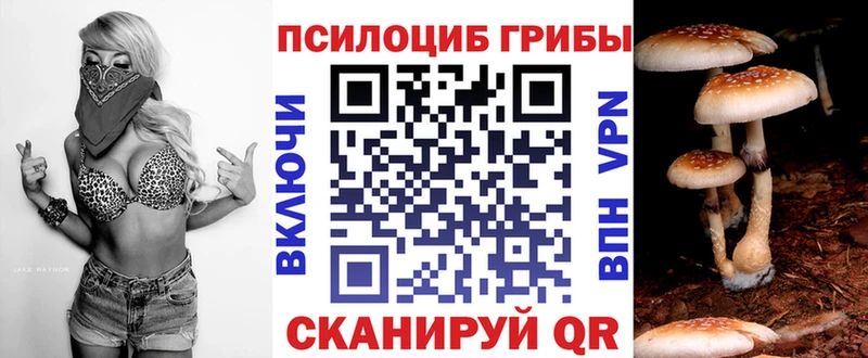 Псилоцибиновые грибы MAGIC MUSHROOMS  Новоульяновск 